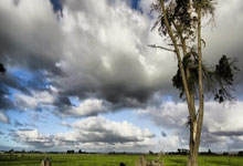 韩国队备战力求提升传中精准度，打造进攻火力