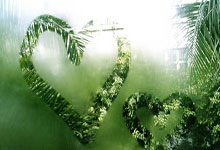 德国选手屡战屡胜，奋勇争先