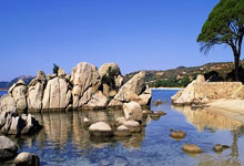 卢戈新援融入球队，表现令人期待